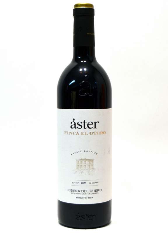 Aster Finca El Otero
