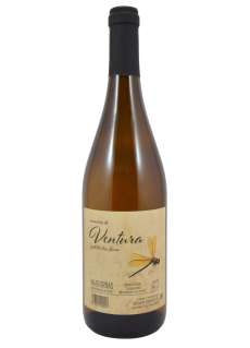 Hvidvin Memoria de Ventura Godello