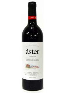 Rødvin Áster