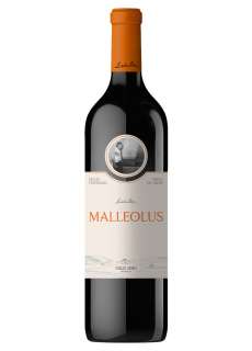 Rødvin Malleolus