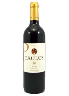 Rødvin Paulus