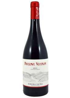 Rødvin Regina Viarum Mencía 2024 - 3 Uds.