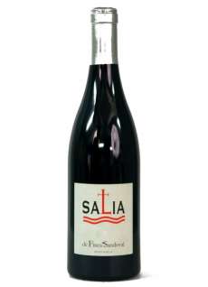 Rødvin Salia